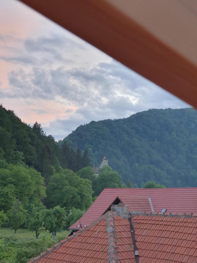 Vila Codreanu Bran  Exterior photo