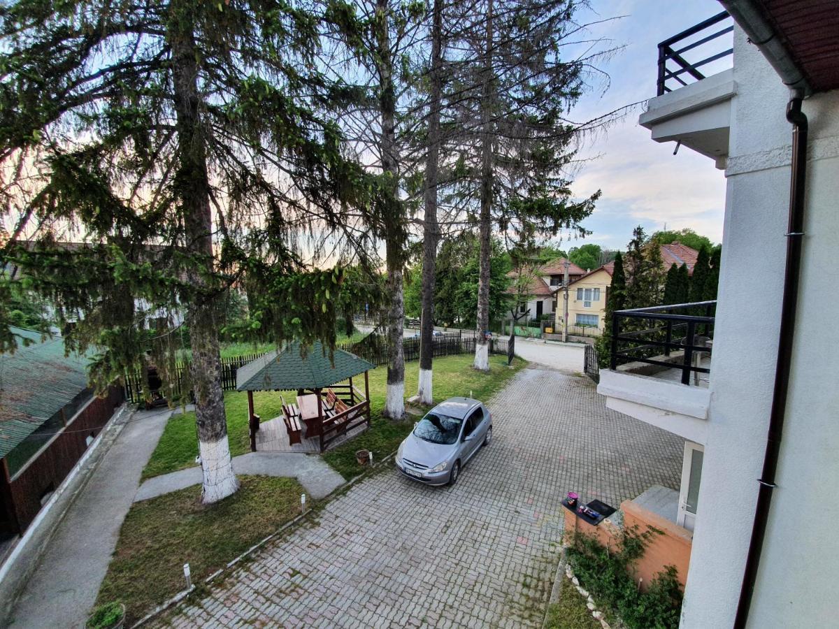 Vila Codreanu Bran  Exterior photo